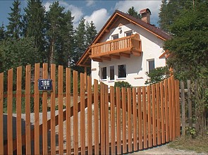 Phasellus nec erat sit amet nibh pellentesque congue.