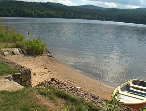 Phasellus nec erat sit amet nibh pellentesque congue.