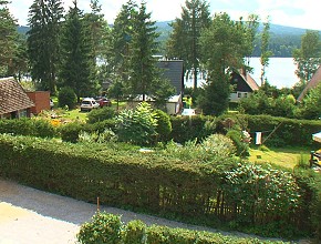 Phasellus nec erat sit amet nibh pellentesque congue.