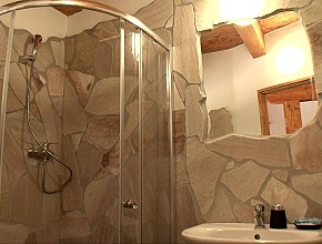 Phasellus pellentesque congue.